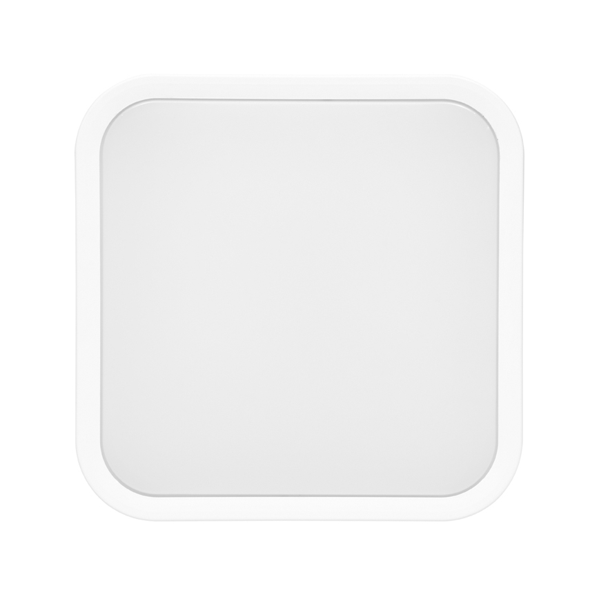 Plafoniera LED da bagno LUKY LED/12W/230V 4000K 25x25 cm IP44 bianco