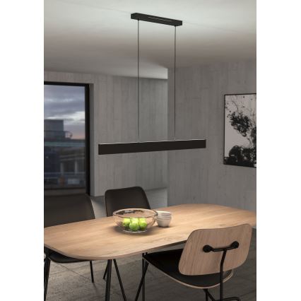 Eglo 31433 - LED RGBW Lampadario dimmerabile a sospensione con filo ANDREAS-Z LED/38W/230V 2700-6500K nero