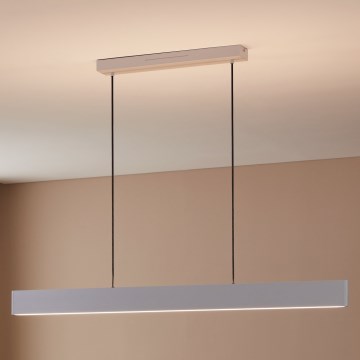 Eglo 31436 - LED RGBW Lampadario dimmerabile a sospensione con filo ANDREAS-Z LED/38W/230V 2700-6500K bianco