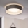 Eglo 31623 - Plafoniera LED MASERLO LED/16W/230V 3000K Ø 40,5 cm grigio/argento