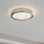Eglo 32047 - Plafoniera LED AREZZO 2 LED/17,92W/230V