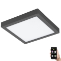 Eglo 33578- Lampada LED dimmerabile da bagno ARGOLIS-C LED/22W/230V IP44 antracite