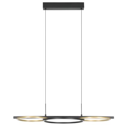 Eglo - Lampadario a sospensione con filo LED dimmerabile 2xLED/12,5W/230V + LED/15,5W 3000K nero