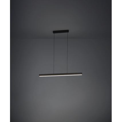 Eglo - Lampadario a sospensione con filo LED dimmerabile LED/20W/230V 3000K nero