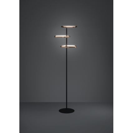 Eglo - Lampada da terra dimmerabile a LED/20W/230V 2200-6500K ottone