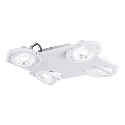 Eglo 39136 - Faretto LED BREA 4xLED/5W/230V/12V