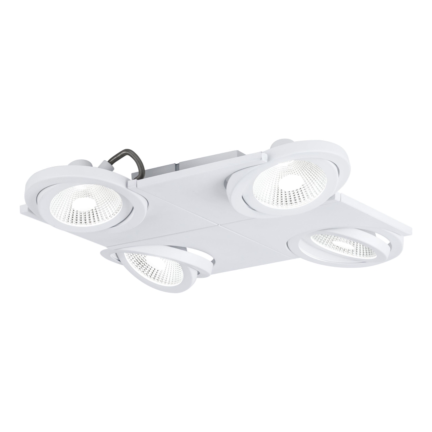 Eglo 39136 - Faretto LED BREA 4xLED/5W/230V/12V