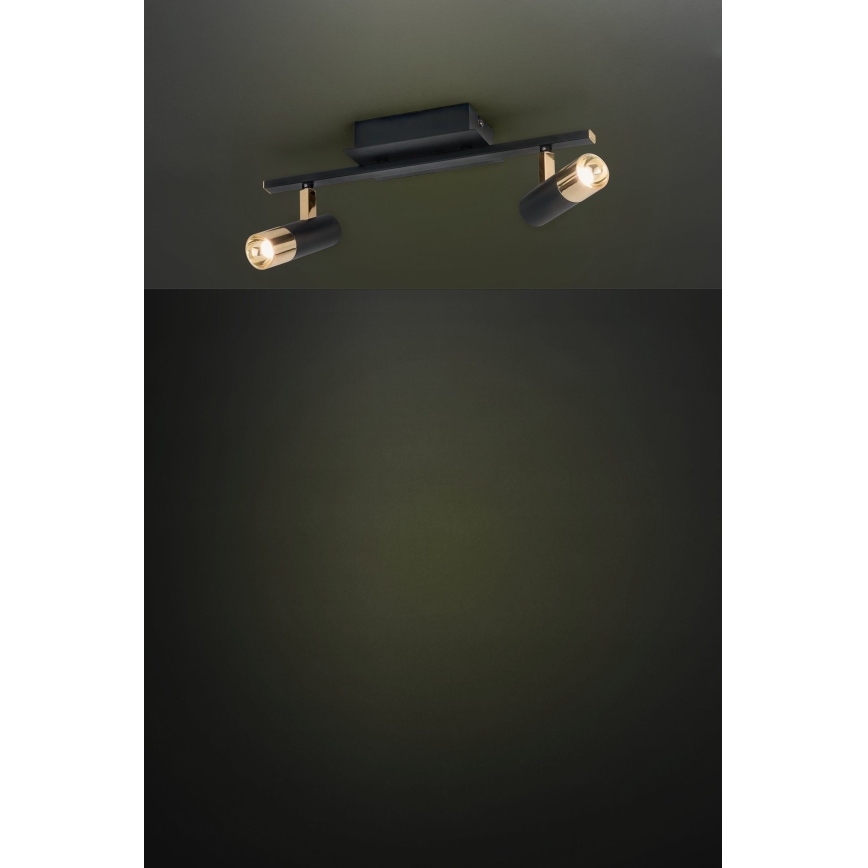 Eglo - Faretto LED 2xLED/5W/230V/12V