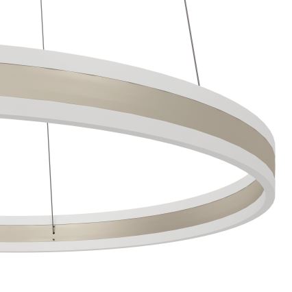 Eglo - Lampadario LED dimmerabile a sospensione con filo LED/78W/230V