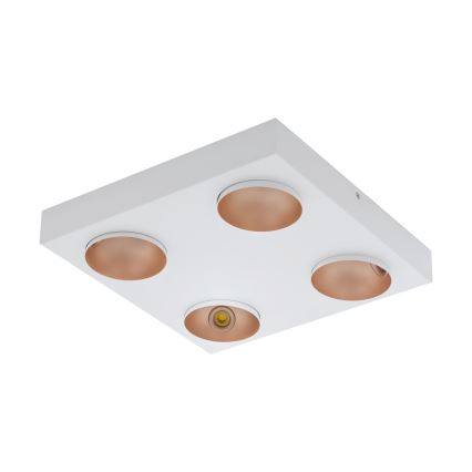 Eglo - Plafoniera LED 4xLED/3,3W/230V