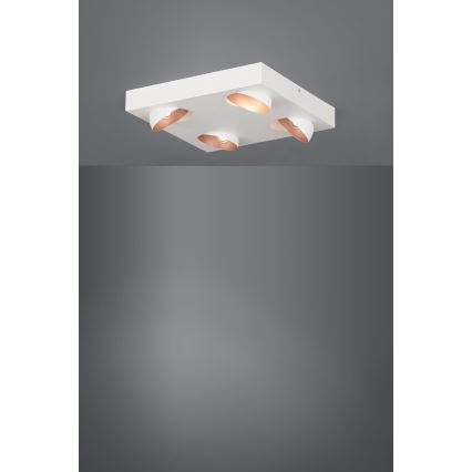 Eglo - Plafoniera LED 4xLED/3,3W/230V