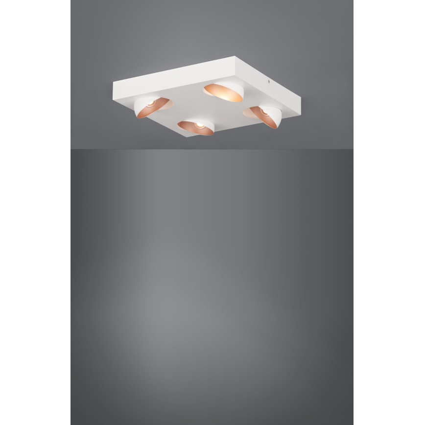 Eglo - Plafoniera LED 4xLED/3,3W/230V