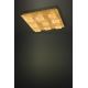Eglo - Plafoniera LED dimmerabile 4xLED/5,4W/230V + 9xLED/4,5W