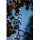 Eglo - Catena natalizia LED da esterno 800xLED 21m IP44 bianco caldo