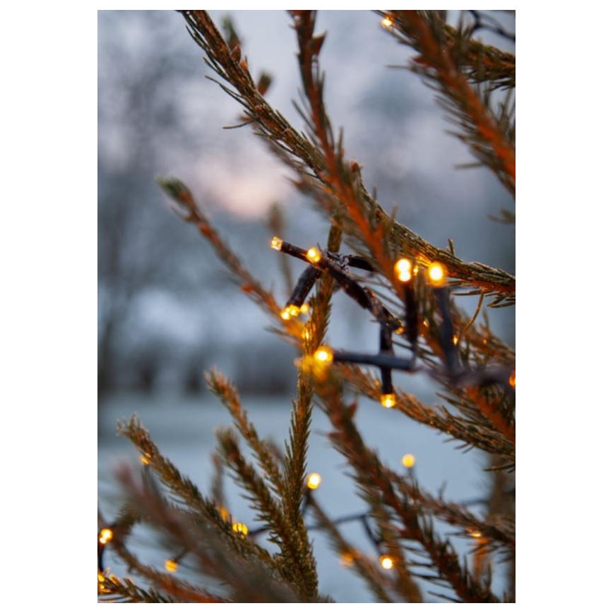 Eglo - Catena luminosa LED da esterno 1200xLED 29m IP44 bianco caldo