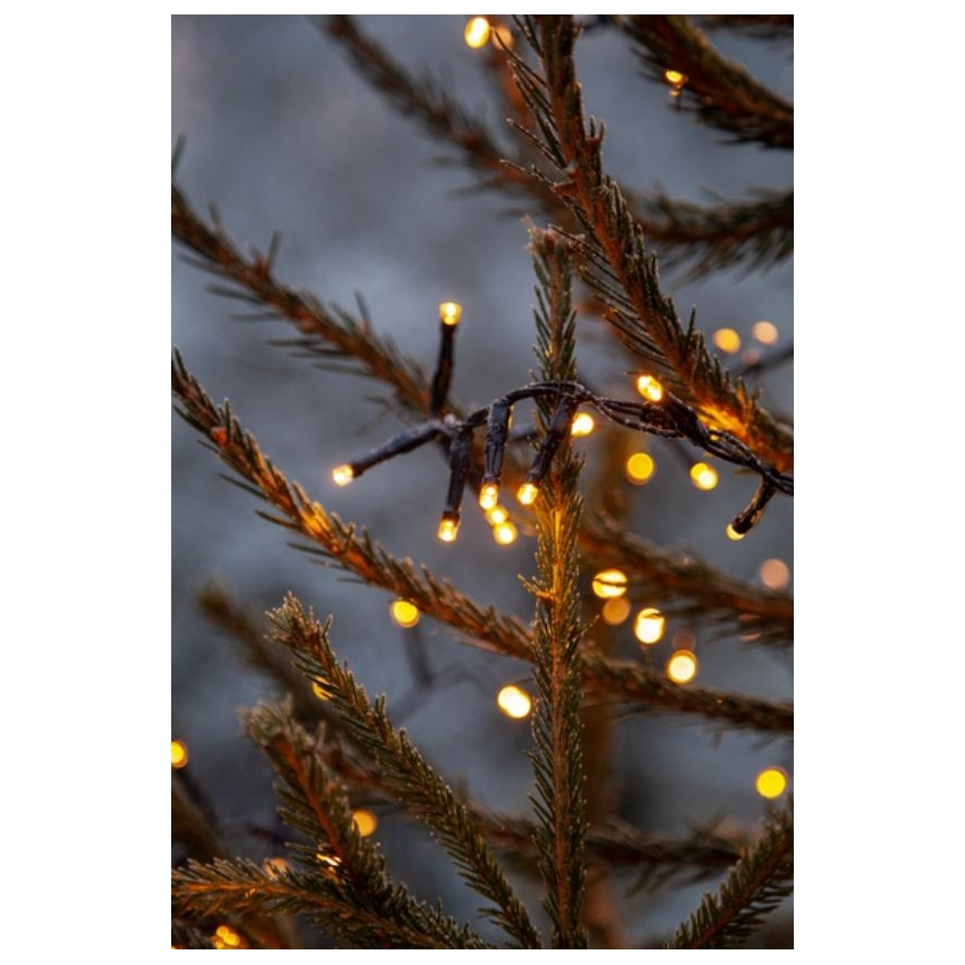 Eglo - Catena luminosa LED da esterno 1200xLED 29m IP44 bianco caldo