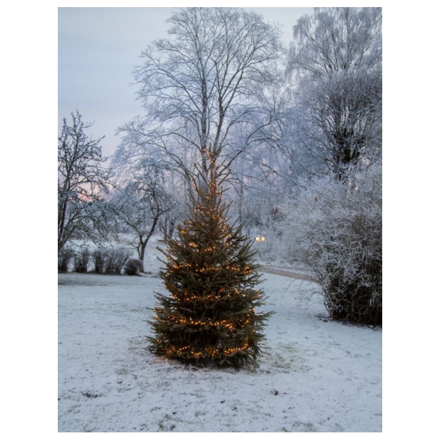 Eglo - Catena luminosa LED da esterno 1200xLED 29m IP44 bianco caldo