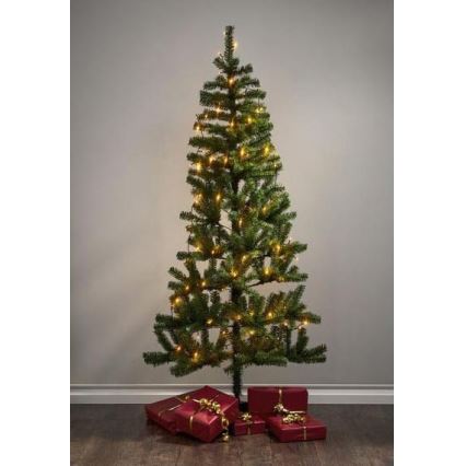 Eglo - LED Catena luminosa natalizia da esterno 80xLED 10,5m IP44 bianco caldo