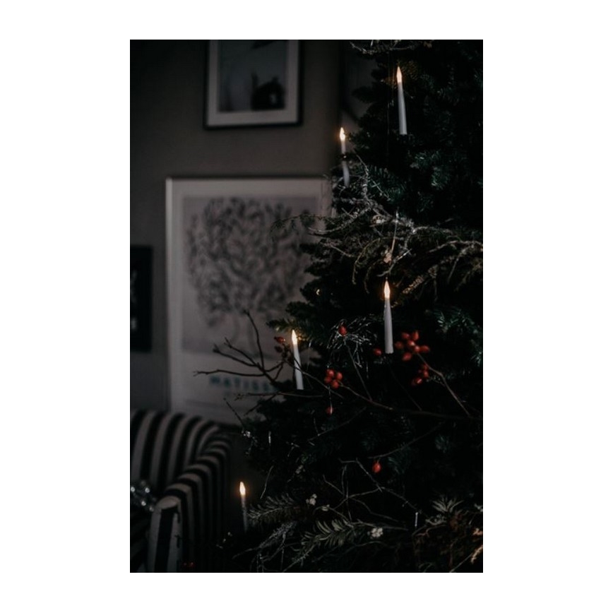 Eglo - Albero di Natale 250 cm abete