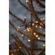 Eglo - Catena LED natalizia da esterno 800xLED 16m IP44 bianco caldo