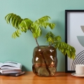 Eglo 421238 - Vaso in vetro MAROSAVA 23x20 cm marrone/fumé