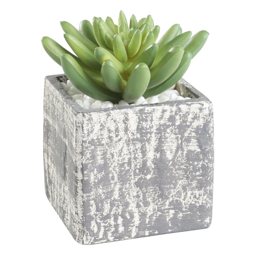 Eglo - Pianta artificiale in vaso 12x7,5 cm succulenta