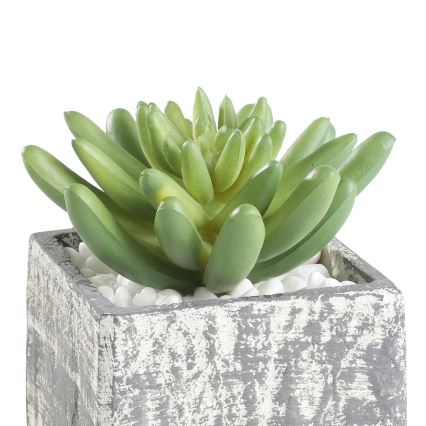 Eglo - Pianta artificiale in vaso 12x7,5 cm succulenta