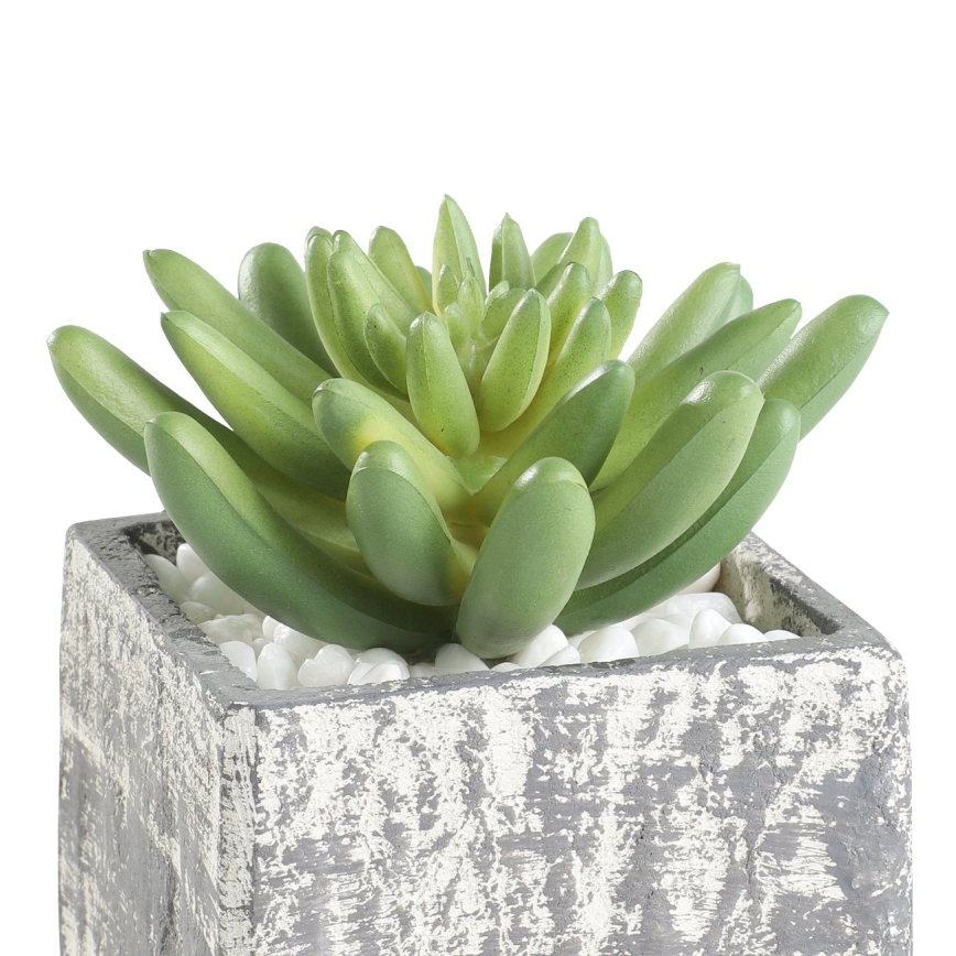 Eglo - Pianta artificiale in vaso 12x7,5 cm succulenta