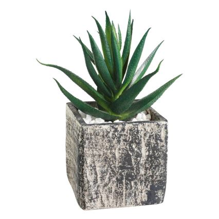 Eglo - Pianta artificiale in vaso da fiori 13x9,5 cm pianta grassa