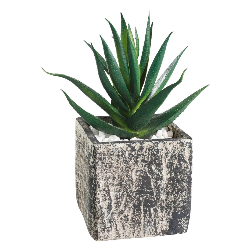 Eglo - Pianta artificiale in vaso da fiori 13x9,5 cm pianta grassa