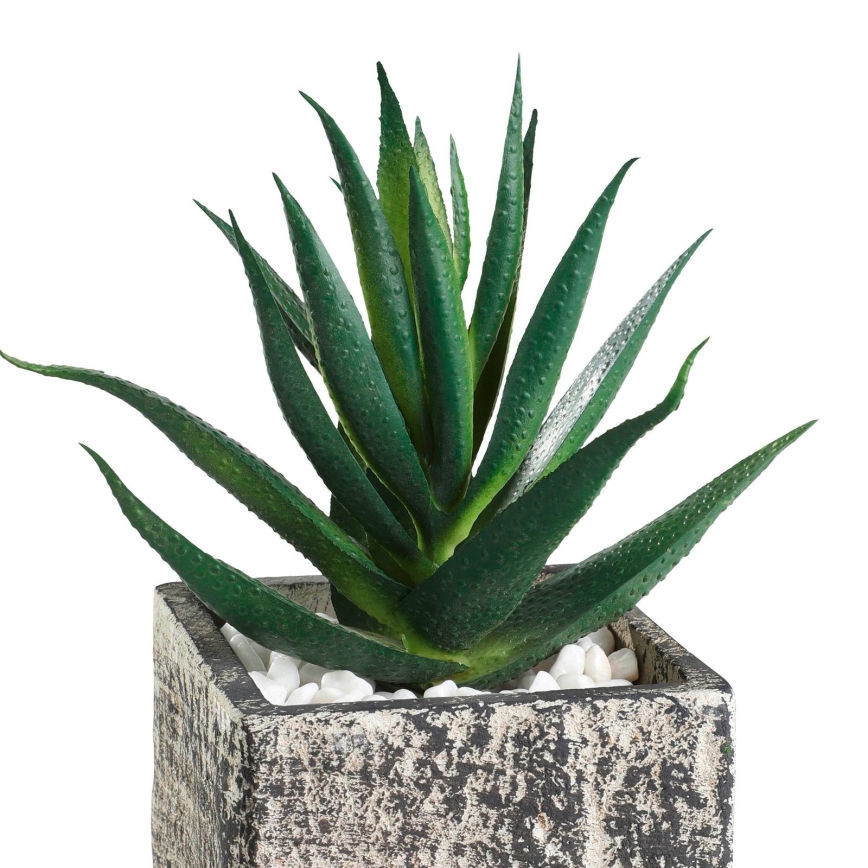 Eglo - Pianta artificiale in vaso da fiori 13x9,5 cm pianta grassa