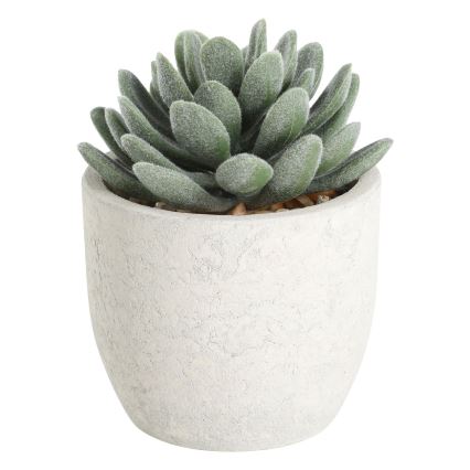 Eglo - Pianta artificiale in vaso 11x8 cm succulenta