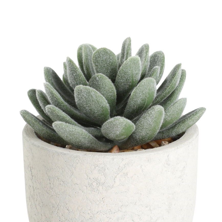 Eglo - Pianta artificiale in vaso 11x8 cm succulenta