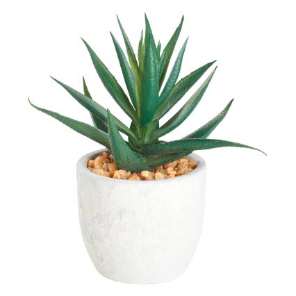 Eglo - Pianta artificiale in vaso 15,5x10 cm succulenta