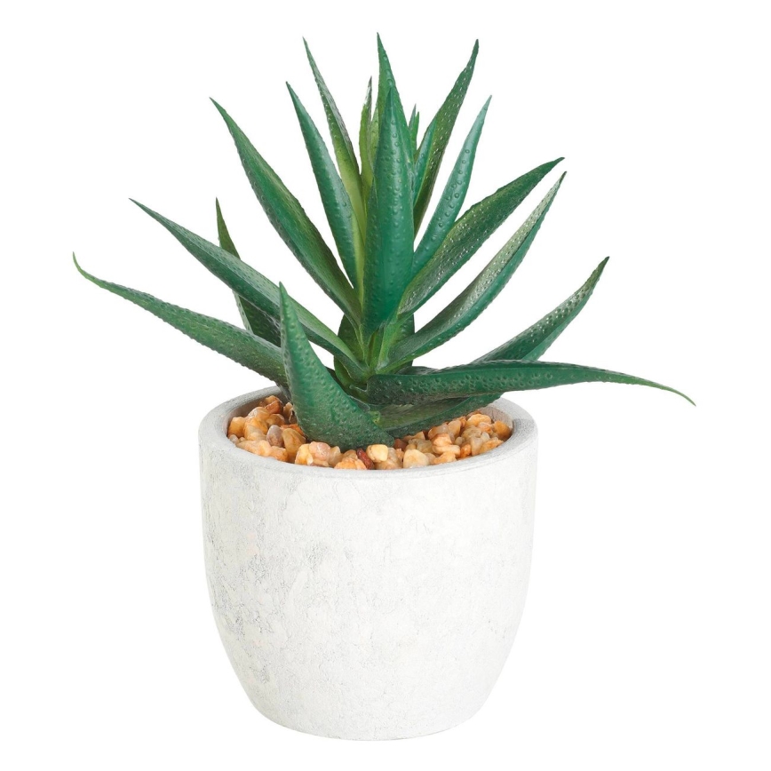 Eglo - Pianta artificiale in vaso 15,5x10 cm succulenta