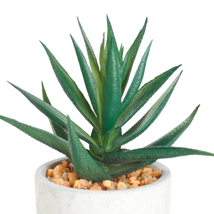 Eglo - Pianta artificiale in vaso 15,5x10 cm succulenta