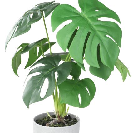 Eglo - Pianta artificiale in vaso 42x30 cm monstera