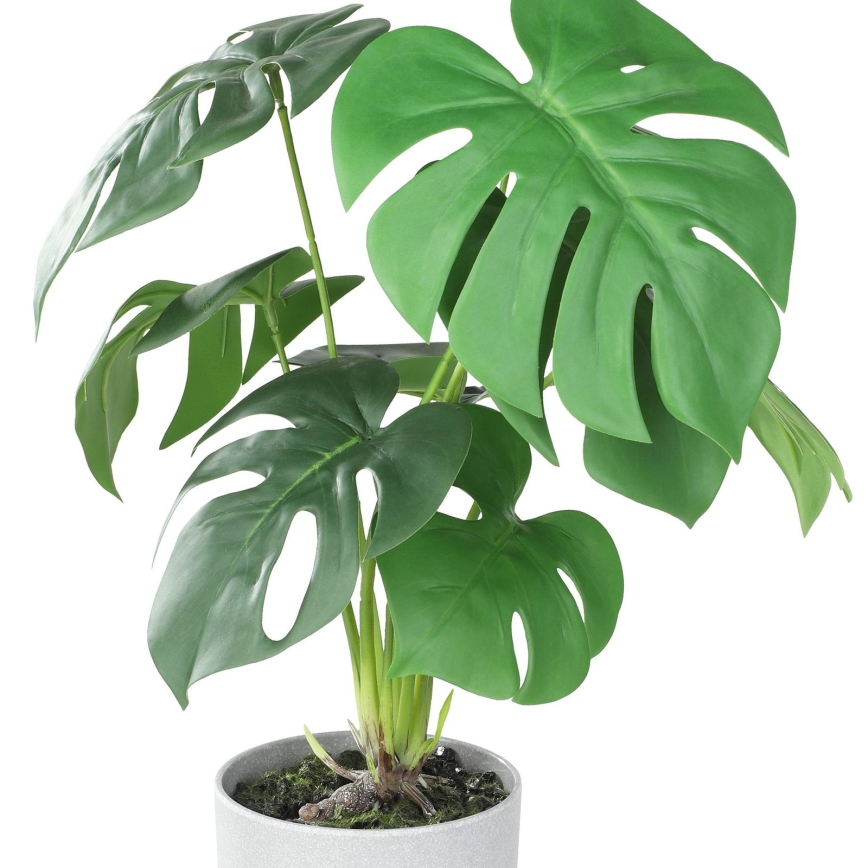 Eglo - Pianta artificiale in vaso 42x30 cm monstera