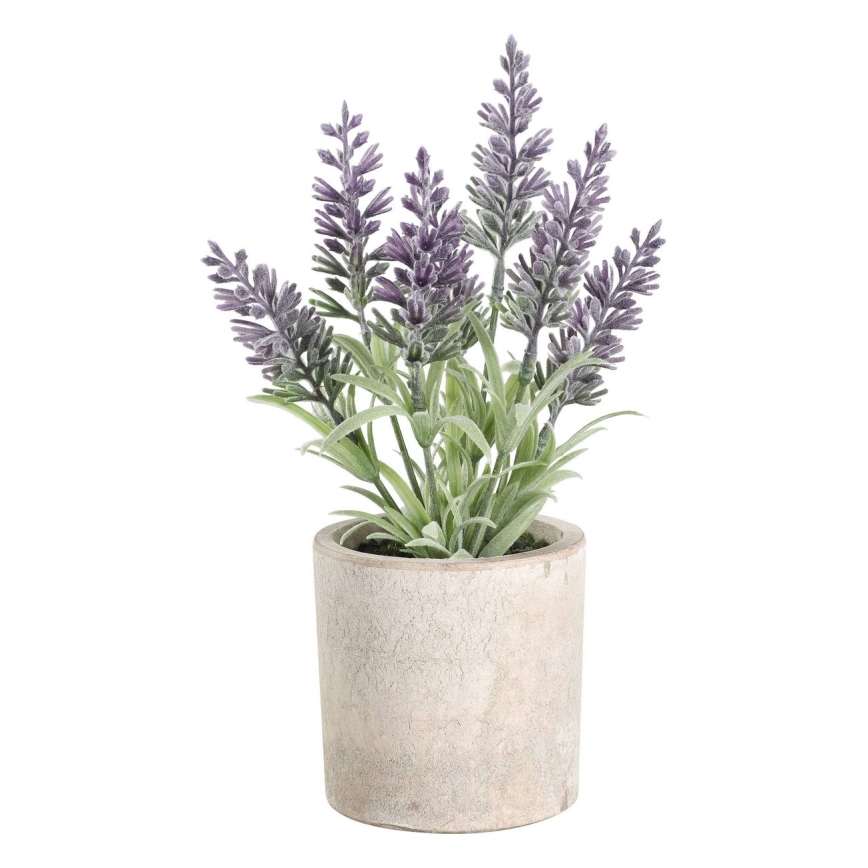 Eglo - Pianta artificiale in vaso 22x8 cm lavanda