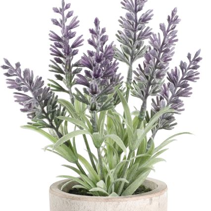 Eglo - Pianta artificiale in vaso 22x8 cm lavanda