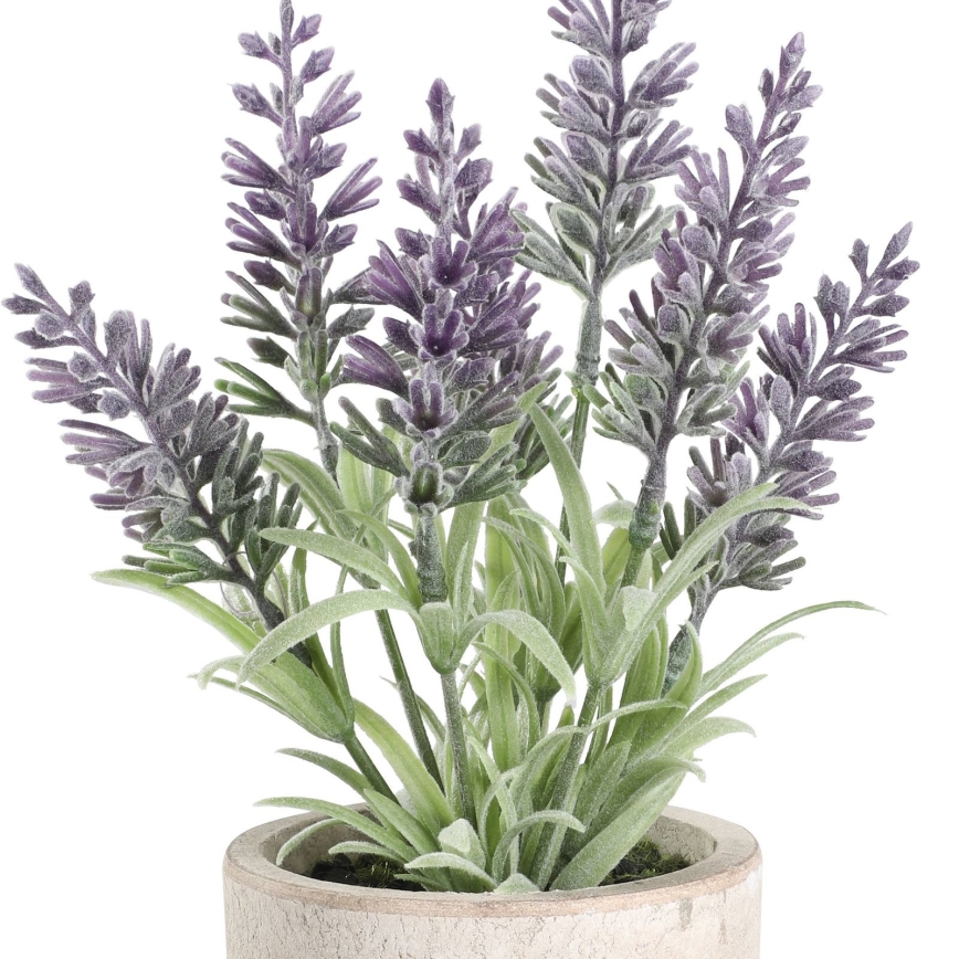 Eglo - Pianta artificiale in vaso 22x8 cm lavanda