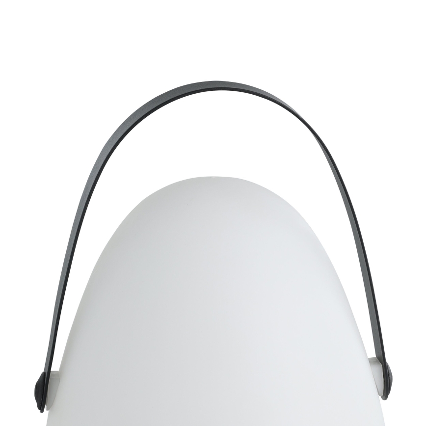 Eglo 48841 - Lampada da tavolo LED da esterno COLLIRADOS LED/3xAA IP44