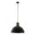 Eglo 49106 - Lampadario a sospensione con catena COLDRIDGE 1xE27/60W/230V