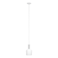 Eglo 62265 - Lampadario a sospensione con filo PASCOA PRO 1xE27/60W/230V 15,6 cm bianco