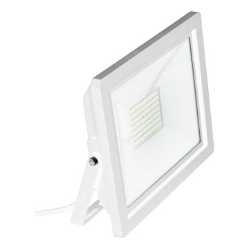 Eglo 64843 - Riflettore LED FILETTI LED/50W/230V 3000K IP65 bianco