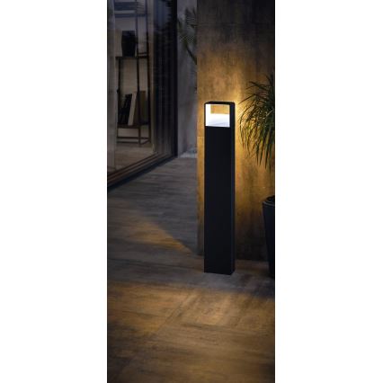 Eglo 65082 - Lampada LED da esterno DONINNI PRO LED/5W/230V 3000K 40 cm IP44 antracite