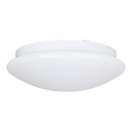 Eglo 68317 - ELLA PROJEKT bagno plafoniera 1xE27/20W/230V IP44 Ø 30 cm