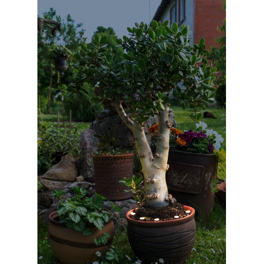Eglo - Catena decorativa da esterno LED 6xLED IP65