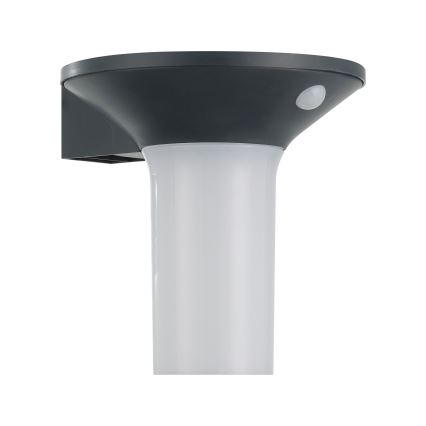 Eglo - Lampada solare da esterno a LED con sensore 6xLED/0,03W/3,7V IP44