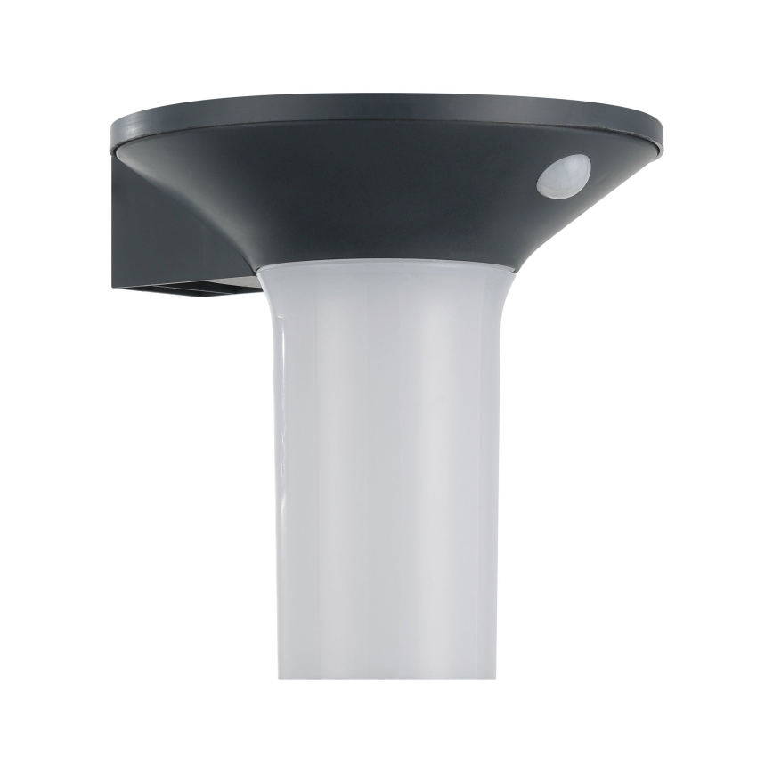Eglo - Lampada solare da esterno a LED con sensore 6xLED/0,03W/3,7V IP44